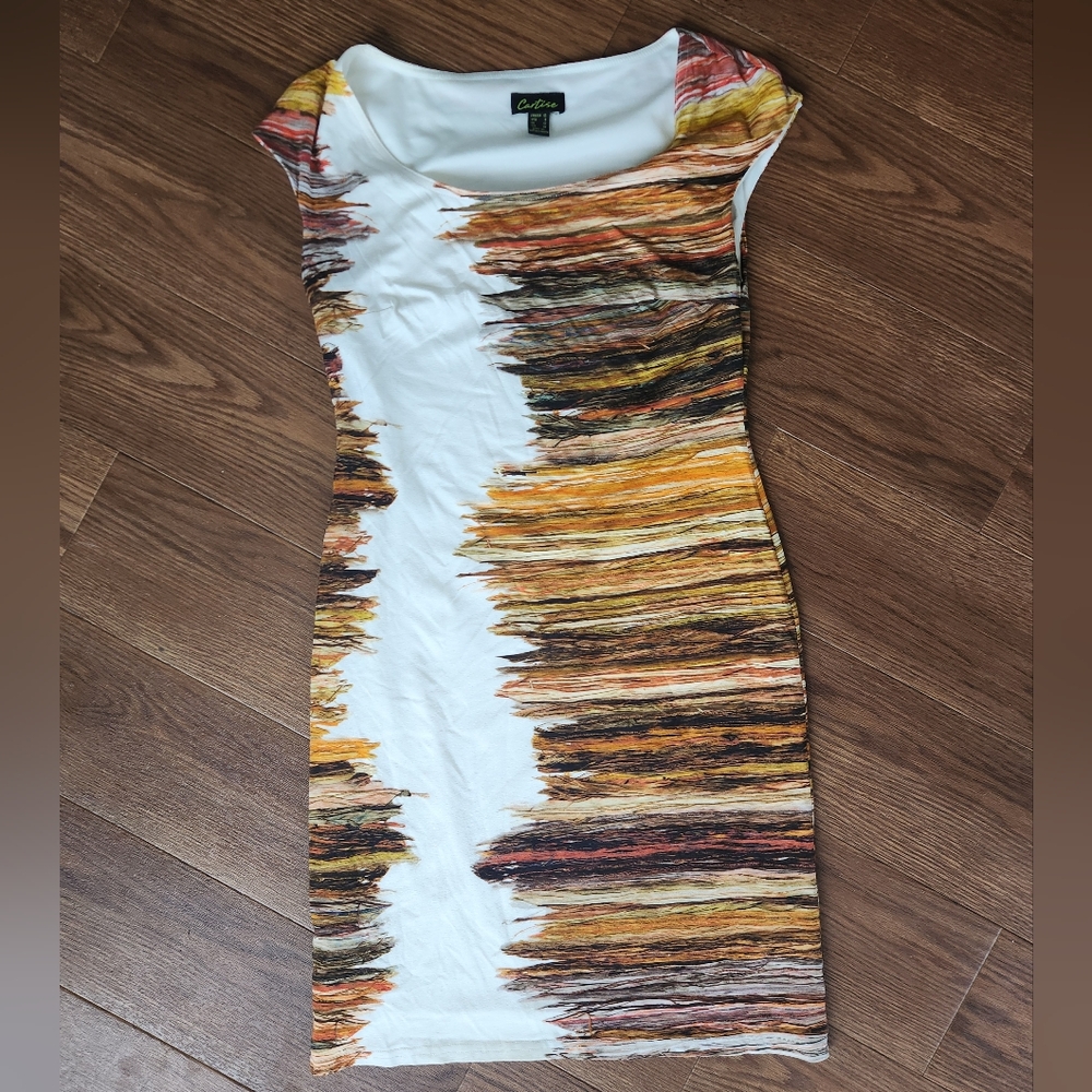 Earth Tone Stripe Print Dress